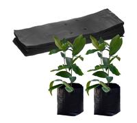 M METERXITY 50-Pack Sacchetti Per Vivaio, 17cm x 30cm Sacchetti Di Plastica Spessi Per Vivaio, Sacchetti Per Piantare Semi Per Patata/Fiore/Pomodoro/Piantine/Forniture [Nero]