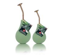 M.S.N Doccetta a sfera, spruzzatore per innaffiare le vostre piante, doccetta delicata, nebulizzatore a mano in rame, nebulizzatore d'acqua e spruzzare i vostri fiori. (Set da 240 ml + 500 ml, verde
