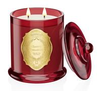 M&SENSE 360g Candele Profumate Pomodori Ciliegini, 60 Ore di Lunga Durata, Vasetto in Vetro Non Tossico con Coperchio, Aromaterapia per il Relax, Regalo di Lusso per Festa della Mamma per Donne