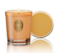 M&SENSE Candela Profumata 260g Basilico e Zenzero, 55H Dura, Cera di Soia Non Tossiche Candele, Vetro Autunnali Decor Casa, Regalo di Lusso per Donne/Compleanni/Natale