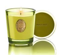 M&SENSE Candela Profumata 260g Tè White & Sage, 55H Dura, Cera di Soia Non Tossiche Candele, Vetro Autunnali Decor Casa, Regalo di Lusso per Donne/Compleanni/Natale