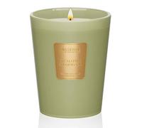 M&SENSE Candele Profumate all’Eucalipto e Legno di Cedro, 400 g, Candele a lunga combustion con Fino a 75 Ore, Ideali per Meditazione e Relax