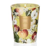 M&SENSE Candele Profumate in Cera di Soia Sgranocchio di Mele |400 g, Fino a 75 Ore, Dolce Aroma Fruttato, Ideale per Cucine Autunnali & Feste di Natale