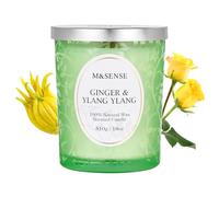 M&SENSE Candele Profumate Zenzero e Ylang Ylang |510 g, Fino a 100 Ore di lunga combustione, candele profumate con un mix esotico |Regali natale colleghe