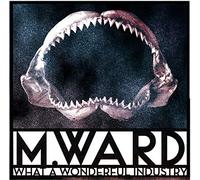 M. Ward - What A Wonderful Industry