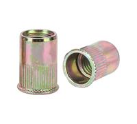 M10 Kleinkopf-Nentmuttern mit ovalem Kopf, 100 Stück, galvanisierter Kohlenstoffstahl, gerändelte Gewindeeinsatzmuttern für Möbel, Automobil, Dekoration, Elektrotechnik und Industrie