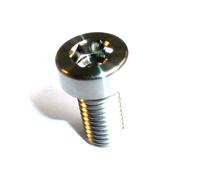 M10 X 1.5 X 20 Vite BULLONE Ti Titanium Low Head Shallow Socket Cap