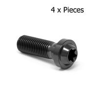 M10 X 30 Titanio Basso Profilo Torx t45 Bullone Vite X 1.25 gr5 Ti Ceramica S
