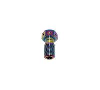 M10x1 25 Bullone in titanio per tubo idraulico Disco Disco Freno Velocità Variabile Giunto a vite a vite fissa Parti di moto compatibili con sistemi di freno standard(Phantom (1 Pcs))