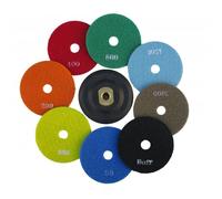 M14 100Mm Set Di Mole Di Diamante Per Lucidatura A Secco Con Dischi E Pad