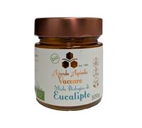 M1ele di Eucalipto 300g | Gusto Aromatico e Forte | Proprietà Respiratorie e Balsamico | M1ele Crudo non Pastorizzato | Alta Qualità Artigianale Italiana dalla Basilicata | Made in Italy