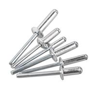 M2 M2.4 M2.8 M3 M3.2 M3.6 M4 M5 M6 M6.4 Rivetto a testa tonda in alluminio Tirare ancoraggio Testa a cupola Cieco Gambo in acciaio Mandrino Rivetto di scarico(8mm,M4 (40Pcs))