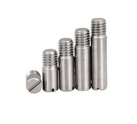 M2 M2.5 M3 M4 M5 M6 M8 M10 GB878 304 Vite in acciaio inossidabile con filettatura esterna cilindrica Posizione di fissaggio Albero rullo perno di centraggio(5pcs M5,20mm)