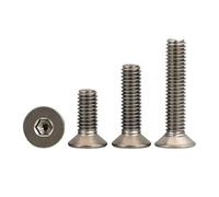 M2 M2.5 M3 M4 M5 M6 M8 Titanium Esagonale Esagonale Testa A Testa Piatta A Testa Svasata Vite 5mm 10pcs M2