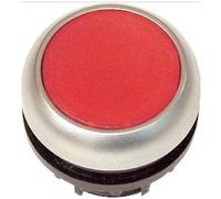 M22-DRL-R RMQ-TITANIO ATTUATORE A PULSANTE ILLUMINATO 216946