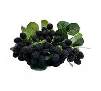 M2cbridge 4 pezzi artificiale lampone rosso bacca finta frutta mora puntelli decorazione da tavolo (nero)