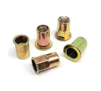 M3 M4 M5 M6 M8 M10 M12 Inserto rivetto Dado Filettatura Testa piatta Piccolo svasato semi-esagono Esagonale Rivnut Nutsert Acciaio al carbonio(Type D,10pcs M12)