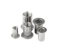 M3 M4 M5 M6 M8 M10 Rivnut in acciaio inossidabile 304 Dado filettato a testa piatta Rivetti a strisce verticali Inserto Nutsert Cap Rivet Nuts(M3 x 20picecs)