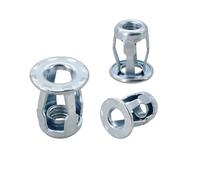 M4 M5 M6 M8 Molly Jack Nut Vite esagonale Phillips Rivet Dado Set Metallo Forma Petalo Targa Fissaggio Pancel Morsetto Rivnut Rivetti Inserti(Nut Only(Silver),M6x20(10Pcs))