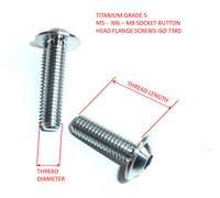 M5 M6 M8 Titanio Presa Bottone Flangia Allen Bulloni Esagonale Viti IS0 7380
