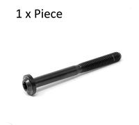 M5 X 0.8 Titanio Profilo Basso Vite Torx t25 Ti Rondella Bolt 10-50mm Nero