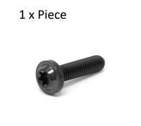 M5 X 0.8 Titanio Profilo Basso Vite Torx t25 Ti Rondella Bolt 10-50mm Nero