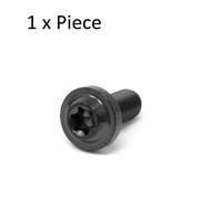 M5 X 0.8 Titanio Profilo Basso Vite Torx t25 Ti Rondella Bolt 10-50mm Nero