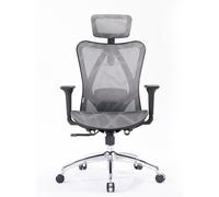 SIHOO con Morbido Supporto Lombare Sedia Ergonomica,Sedia Ergonomica in Traspirante Mesh,Sedie da Ufficio con Braccioli Regolabili 3D,Sedie Ufficio con Poggiatesta Regolabile(Grigio)