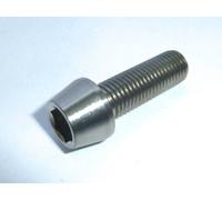 M5X0,8X 10 15 18 20 25 30 VITE A TESTA CIECA CONICA IN TITANIO GR5