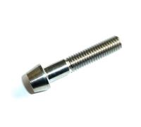 M5X0,8X 10 15 18 20 25 30 VITE A TESTA CIECA CONICA IN TITANIO GR5