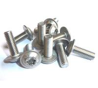 M5X30 Torx Testa Acciaio Inox Ricambio Parte BMW Carenatura Bolt 5055535185482