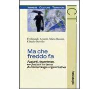 Ma che freddo fa. Appunti, esperienze, evoluzioni in tema di meteorologia organizzativa