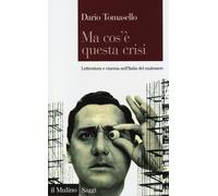 Ma cos'è questa crisi. Letteratura e cinema nell'Italia del males