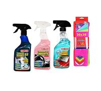 Mafra, Tergy Artic Plus -50°C, Detergente Concentrato per Vaschette Tergicristallo, 250ml