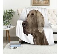 MAAPCHP Coperta Pile Blanket Ritratto di un adorabile Weimaraner, scatto in Coperta di Flanella Coperta per Adulti per Bambini Caldo Divano per Il Tempo Libero Sedia Soffice Coperta Soffice150x200cm