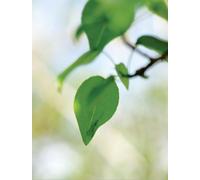 Mabel Wilson David Hartt: The Histories (Copertina rigida)