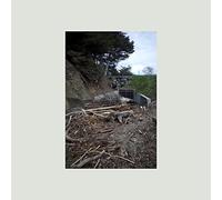 Mac DeMarco Five Easy Hot Dogs (Vinyl LP) 12" Album