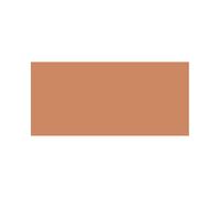 MAC Studio Fix Every-Wear All Over Face Pen NC42 Corrector 12ml For Women