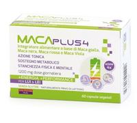 MACA PLUS 4 60CPS