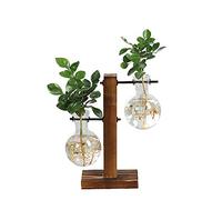 Macabolo - Vaso per piante in vetro con supporto in legno vintage, per coltivazione idroponica, per casa, ufficio