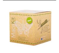 MacaKit, Il Kit per Allevare in Casa Le Farfalle Macaone - Esperimento educativo, Kit educativi scientifici per Bambini, Idee Regalo Bambino Bambina (KIT CON BRUCHI)