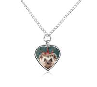 maccbn Collana a forma di piccola corona per ceneri, impermeabile, ciondolo commemorativo a forma di cuore, con kit di riempimento, catena regolabile da 70,1 cm, gioiello per ceneri, regalo di