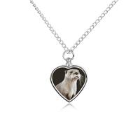 maccbn Collana con urna per animali domestici, impermeabile, con ciondolo commemorativo a forma di cuore, con kit di riempimento, catena regolabile da 70 cm, gioiello per la cremazione, regalo per