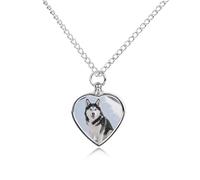 maccbn Collana con urna per cani e animali domestici, impermeabile, ciondolo commemorativo a forma di cuore, con kit di riempimento, catena regolabile da 70 cm, gioiello per cremazione, regalo per