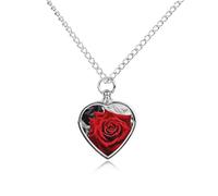 maccbn Collana con urna per ceneri, con rose rosse, impermeabile, ciondolo commemorativo a forma di cuore, con kit di riempimento, catena regolabile da 70,1 cm, gioiello per ceneri, regalo di simpatia
