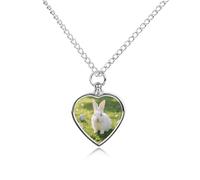 maccbn Collana con urna per ceneri con uova di coniglio, impermeabile, ciondolo commemorativo a forma di cuore, con kit di riempimento, catena regolabile da 70,1 cm, gioiello per la cremazione, regalo