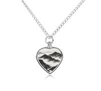 maccbn Collana con urna per ceneri, impermeabile, a forma di cuore, con kit di riempimento, catena regolabile da 70,1 cm, gioiello per la cremazione, regalo di simpatia per gli amanti degli animali