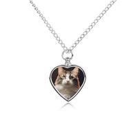 maccbn Collana con urna per ceneri, impermeabile, a forma di cuore, con kit di riempimento, catena regolabile da 70,1 cm, gioiello per la cremazione, regalo di simpatia per gli amanti degli animali