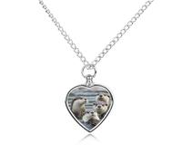 maccbn Collana con urna per ceneri, impermeabile, a forma di cuore, con kit di riempimento, catena regolabile da 70,1 cm, gioiello per la cremazione, regalo di simpatia per gli amanti degli animali