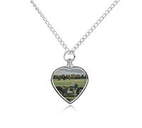 maccbn Collana con urna per ceneri, impermeabile, a forma di cuore, con kit di riempimento, catena regolabile da 70,1 cm, gioiello ricordo per cani e gatti, regalo di simpatia per gli amanti degli
